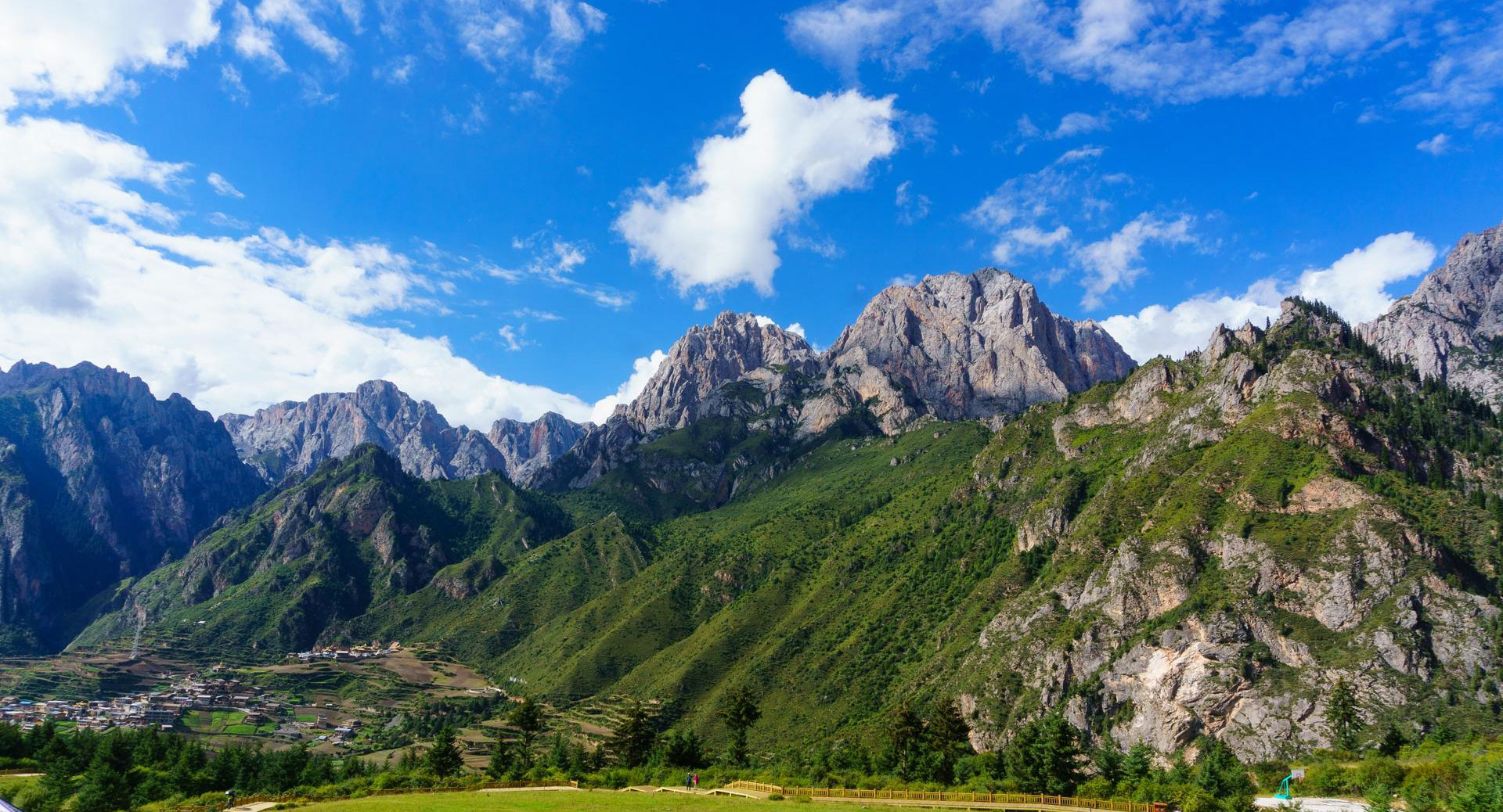 貴州生物燃料顆粒廠家直銷(xiāo)